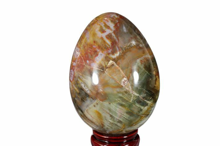 Colorful, Polished Petrified Wood Egg - Madagascar #172525